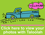 Click here to view your photos with Taloolah